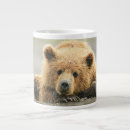 Search for brown bear mugs Animals in the wild