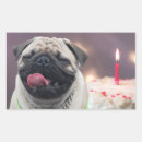 Recherche de carlin mignon autocollants Amoureux des chiens