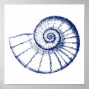 Search for nautilus shells posters Coastal