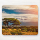 Search for acacia electronics Landscape