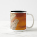 Recherche de barbu tasses Animal