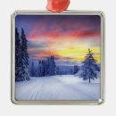 Search for scenery ornaments Winter