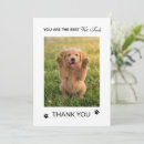 Search for paw print cards Vet tech