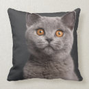 Search for british shorthair pillows Cute