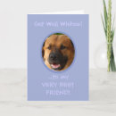 Search for owner other Funny