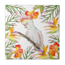 Search for parrot tiles Cockatoo