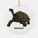 Search for tortoise ornaments Reptile