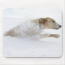 Search for best in agility mousepads Motion