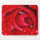 Search for large red mousepads Rose