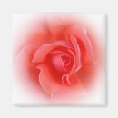 Search for pink background magnets Petals