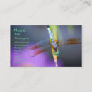 Recherche de mythes photographie Insecte