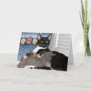 Search for love cats cards Kitten