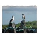 Search for galapagos calendars Birds