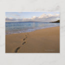Recherche de wailea posters Mer