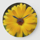 Recherche de marigold horloges Fleurs