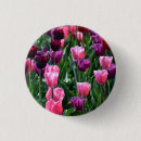 Recherche de tulipe badges Fleurs