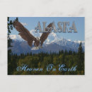 Recherche de aigle chauve cartes postales Pittoresque