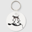 Search for quantum keychains Cat