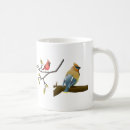 Search for songbird mugs Wildlife