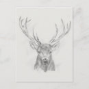 Recherche de esquisse cartes postales Animal