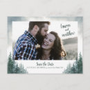 Search for watercolor pictures postcards Forest