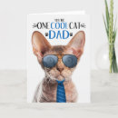 Search for devon rex Cats