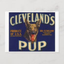 Recherche de etiquette cartes postales Vintage