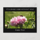 Recherche de solitaire cartes postales Nature