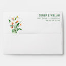 Recherche de calla Minimaliste