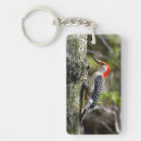 Search for woodpecker keychains Red bellied woodpecker