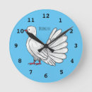Recherche de pigeon horloges Oiseau