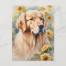 Recherche de golden retriever postcards Animal