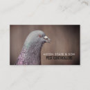 Recherche de pigeons cartes visite Pour tous