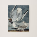 Recherche de oiseau puzzles John james audubon