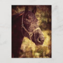 Search for fresian postcards Black