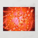 Search for pathogens Science