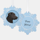 Search for black labrador ornaments Retriever