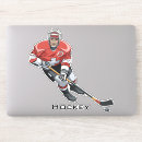 Search for ice hockey puck stickers Skate
