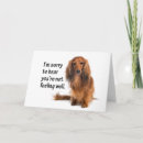 Search for dachshund get well cards Pet
