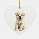 Search for great pyrenees ornaments Animal