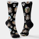 Search for paw print clothing Fun pattern