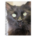 Search for fuzzy notebooks Black