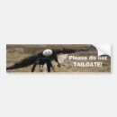 Search for raven bumper stickers Crow