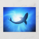 Search for deep creature Adventure