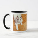 Search for high angle view mugs Colour image