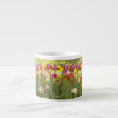 Search for tulips flowers mugs Blooming