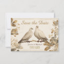 Recherche de colomb invitations Annonce