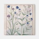 Search for book illustrations magnets 15th