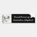 Search for australian shepherd bumper stickers Dog