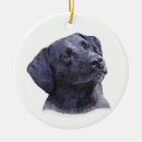 Search for black labrador ornaments Retriever